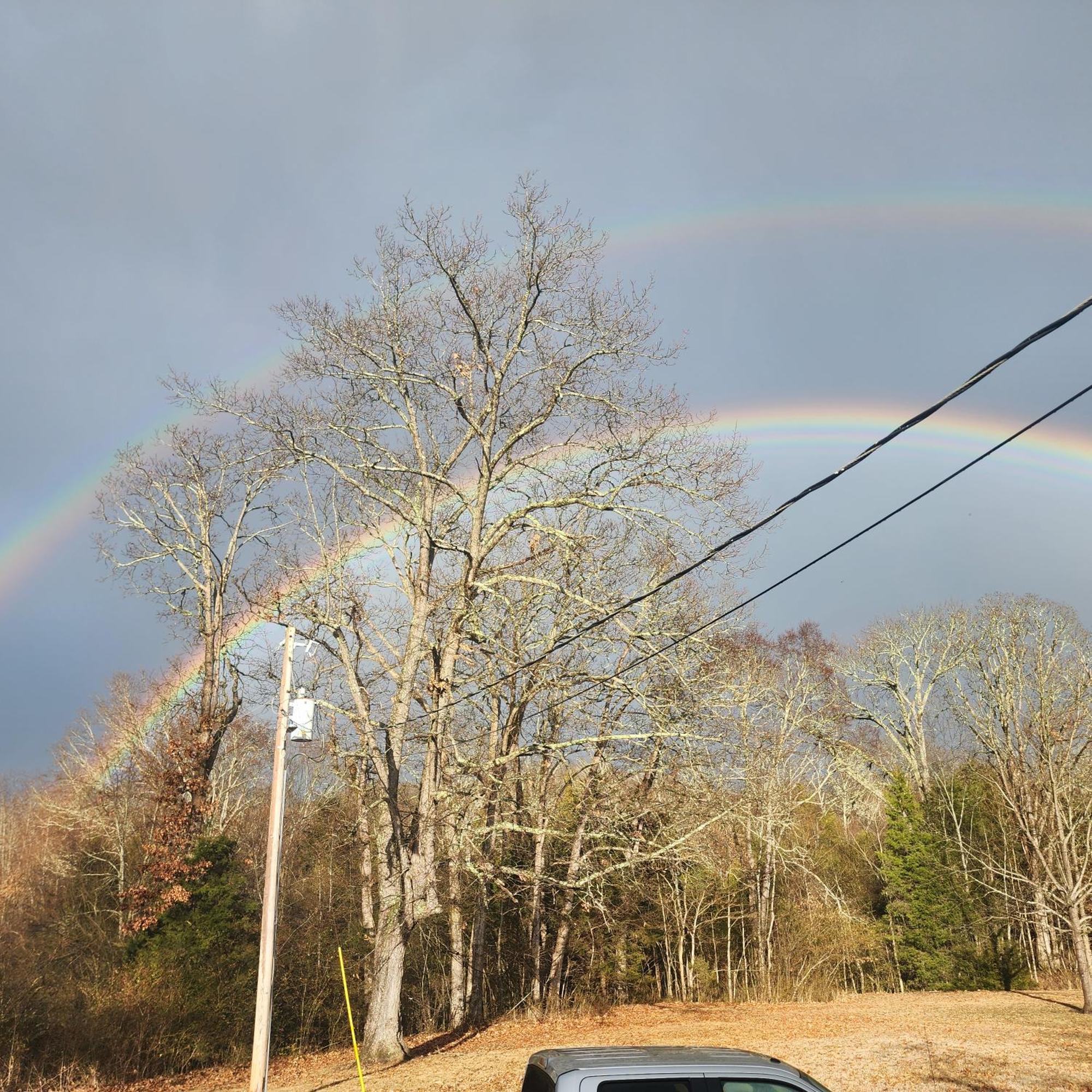 Sisters On Sycamore B&B Russellville エクステリア 写真
