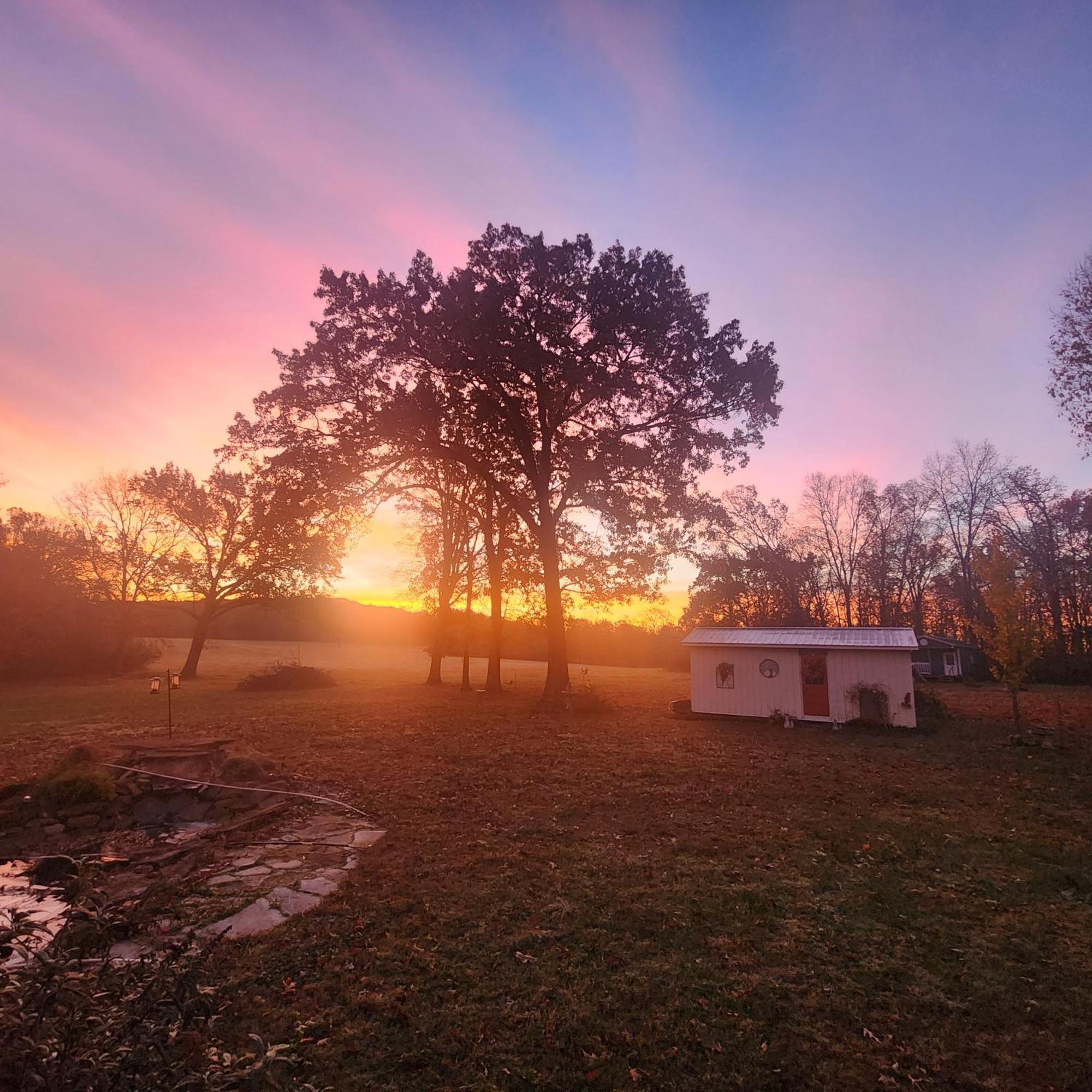 Sisters On Sycamore B&B Russellville エクステリア 写真