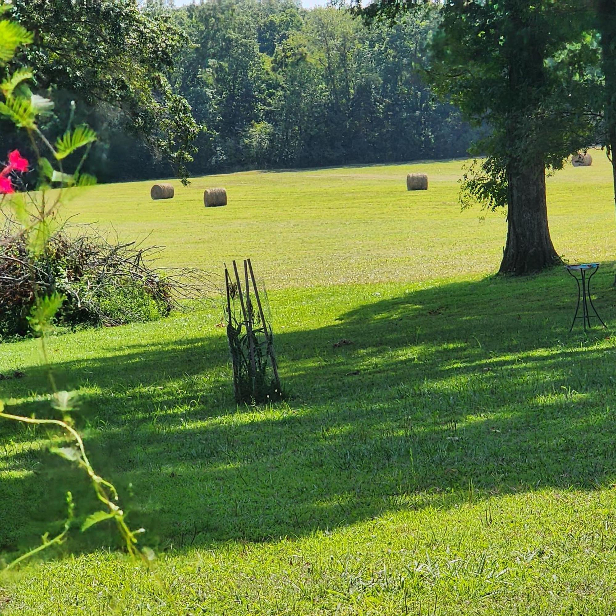 Sisters On Sycamore B&B Russellville エクステリア 写真